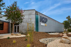 The Net Zero Plus Electrical Training Institute, or NZP ETI, is a unique building that demonstrates emerging and advanced energy technologies and energy-efficient design strategies including a microgrid, battery energy storage, and advanced energy-management systems and controls.