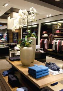The designers selected Tivoli’s Coveline 120 for the main areas of the store.