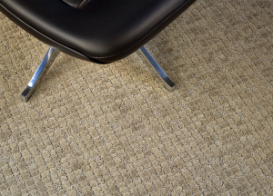 Invision's Infusion broadloom carpet in Brisk