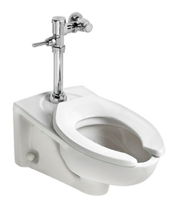 American Standard's 1.1 gpf manual toilet flush valve can be combined with an American Standard Afwall or Madera universal toilet bowl.