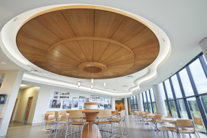 WoodWorks Torsion Spring, a new addition to the Armstrong family of Torsion Spring ceilings, offers a clean, monolithic visual in a concealed suspension system, downward accessibility to the plenum, and easy installation.