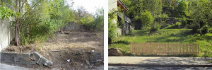 A startling fact is that by far the large majority of these blighted properties are in the hands of private owners. Thus, local governments have to adopt programs and policies that allow these governments to abate the nuisance private properties, recover costs, and, in some cases, acquire the property itself.